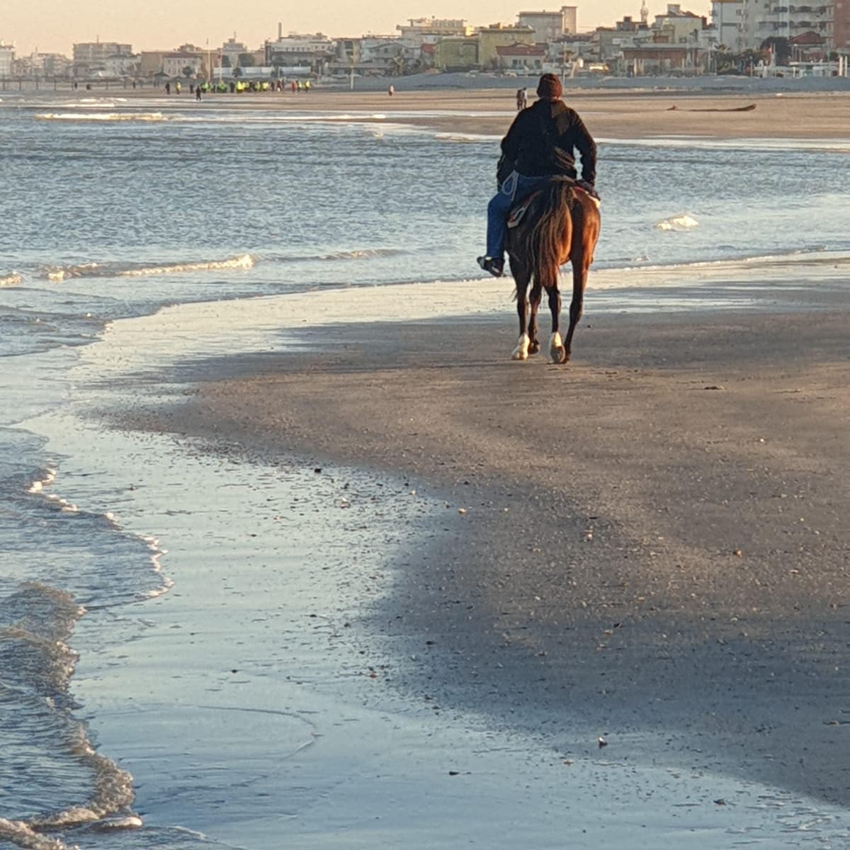 Galleria image /assets/mare/mare-2.jpg